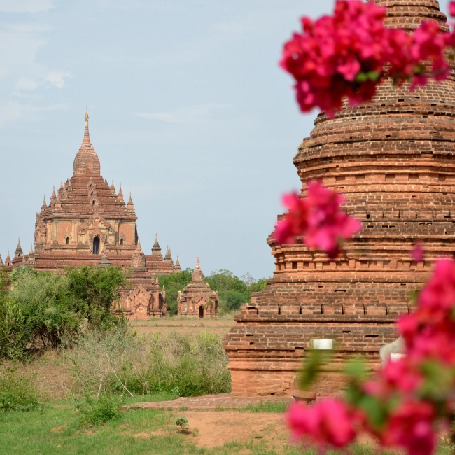 ESENCIAS DE MYANMAR