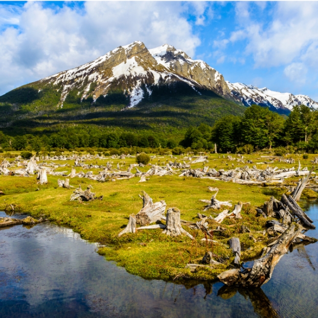 USHUAIA ACCESIBLE