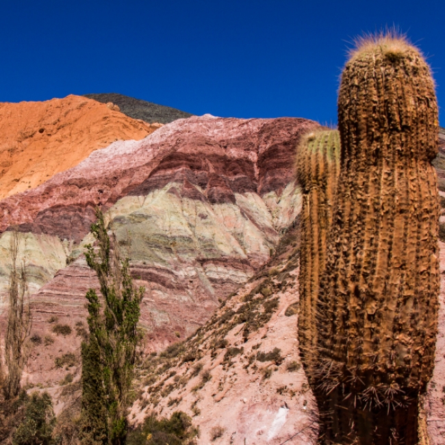 SALTA Y JUJUY ACCESIBLE