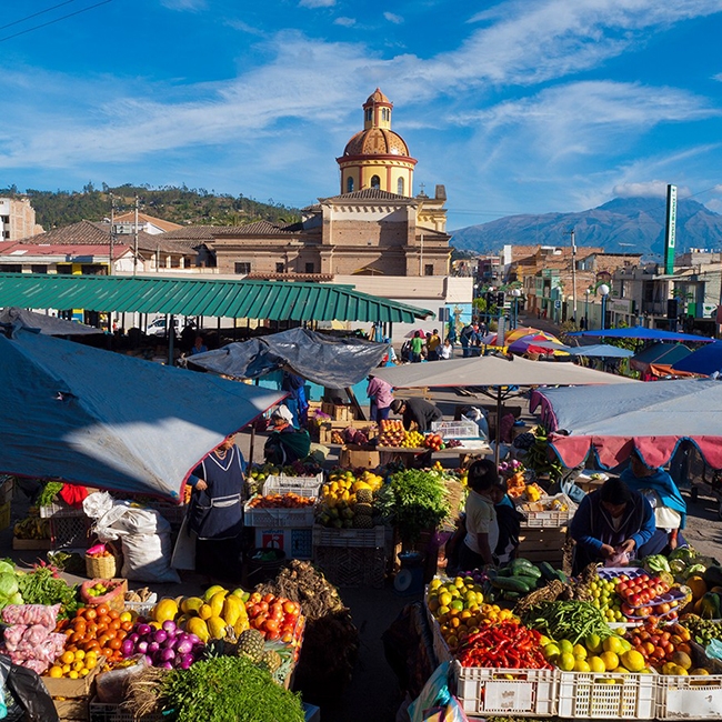 CONTRASTES DE ECUADOR