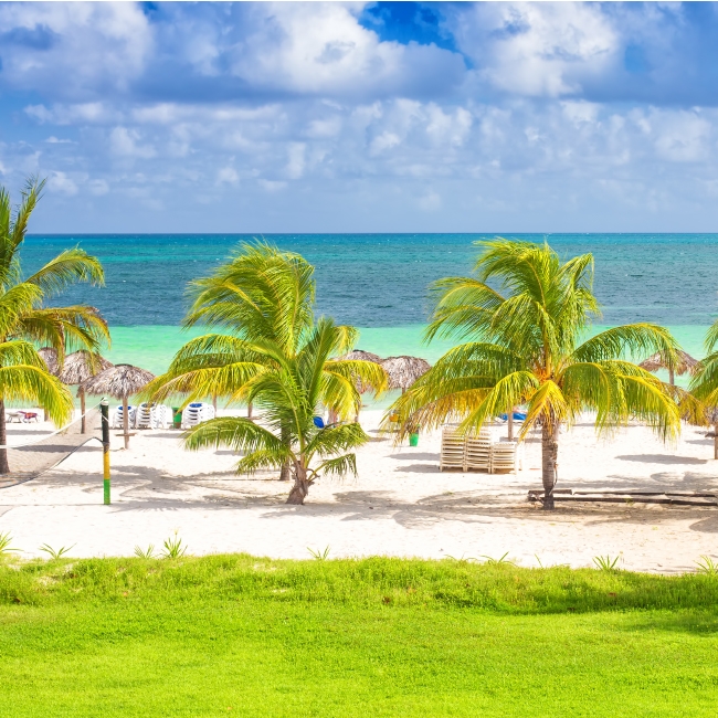 CARIBE ENERO ANTICIPADO
