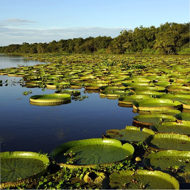 CORRIENTES Y MISIONES