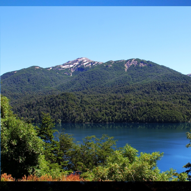 NEUQUEN EN NOVIEMBRE