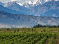 MENDOZA ACCESIBLE