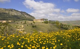 Segesta